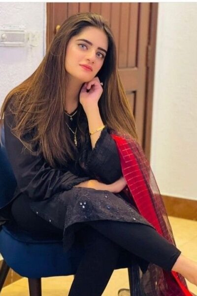 Basheerbagh Escort Service service